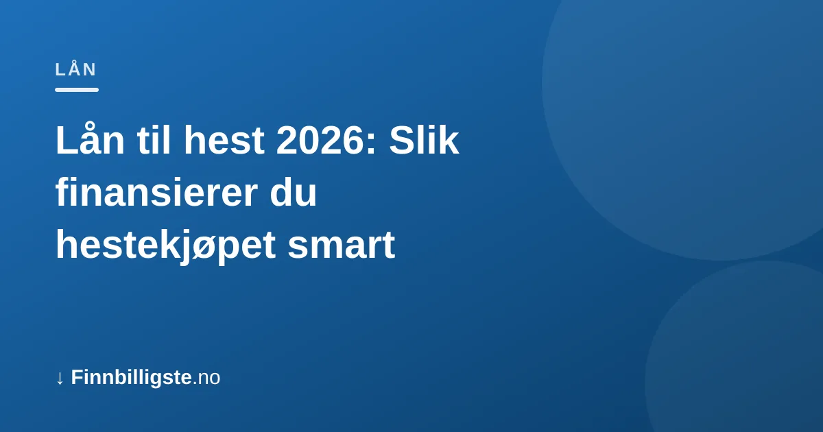 Lån til hest 2026: Slik finansierer du hestekjøpet smart